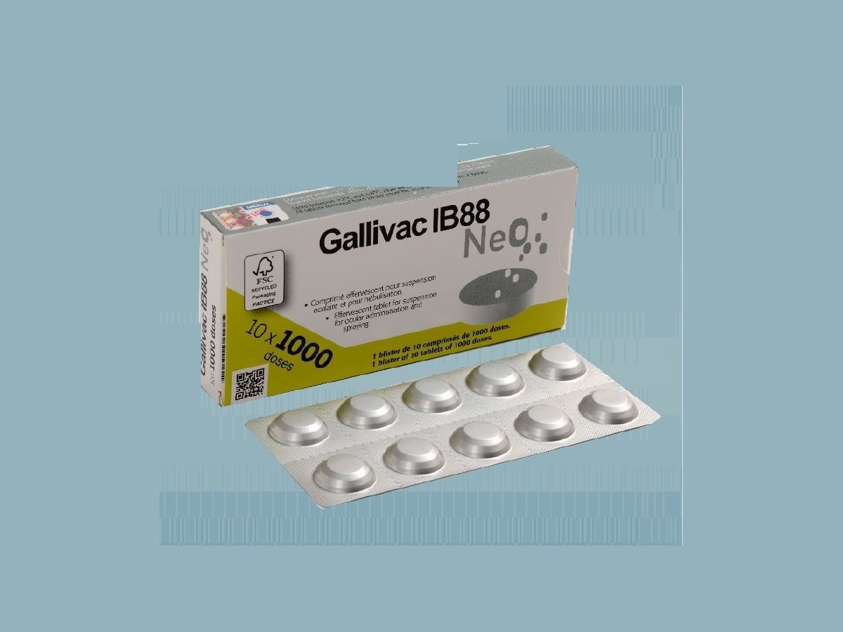 GALLIVAC® IB88 NEO product pack shot