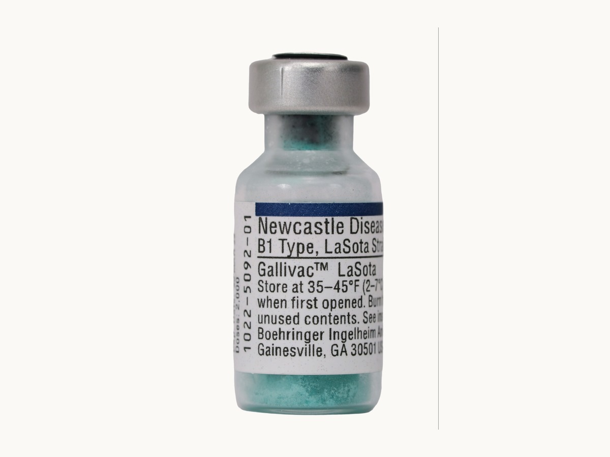 GALLIVAC® LaSota product pack shot