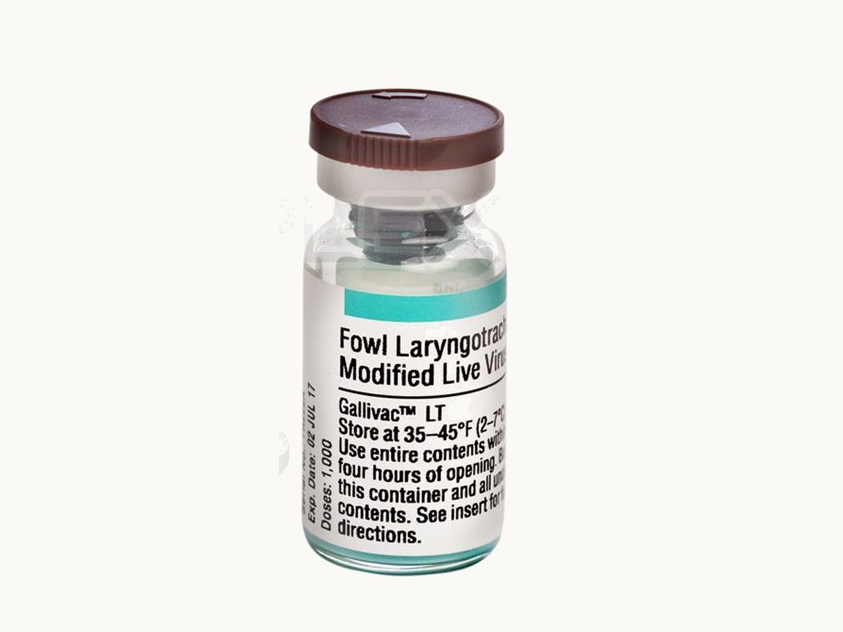 GALLIVAC® LT product pack shot