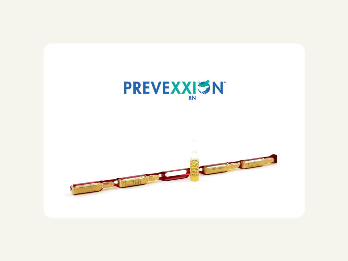 PREVEXXION® RN product pack shot